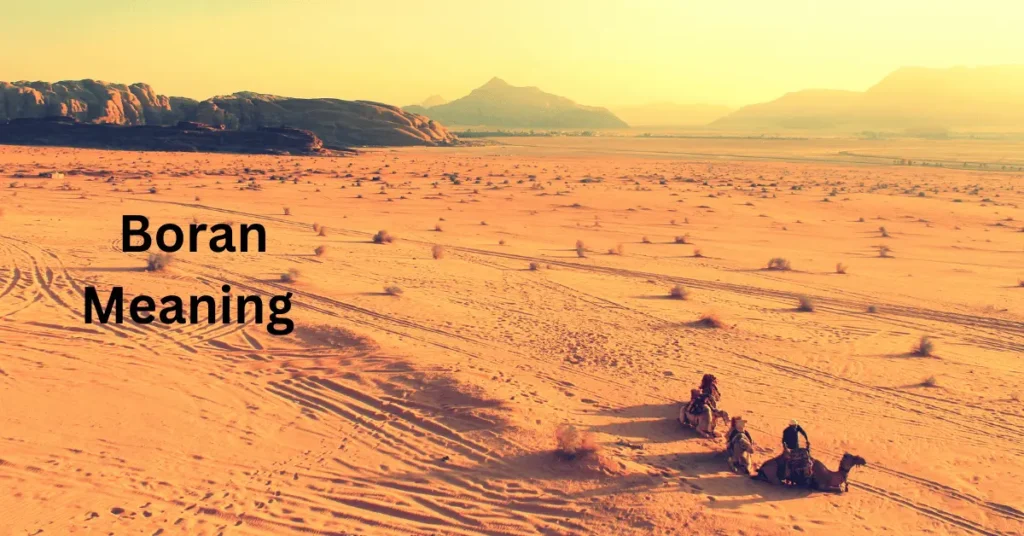 Boran Meaning