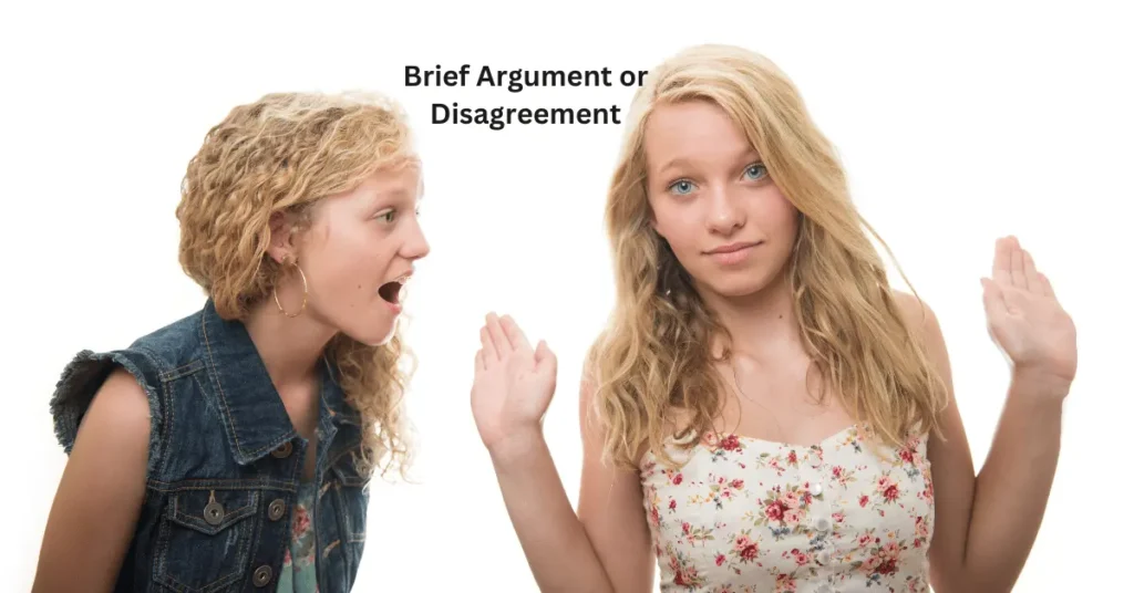 Brief Argument or Disagreement