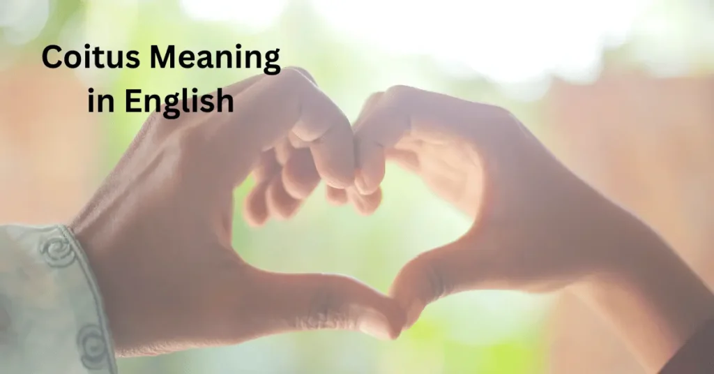 Coitus Meaning in English