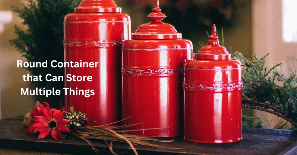 Container that Can Store Multiple Things