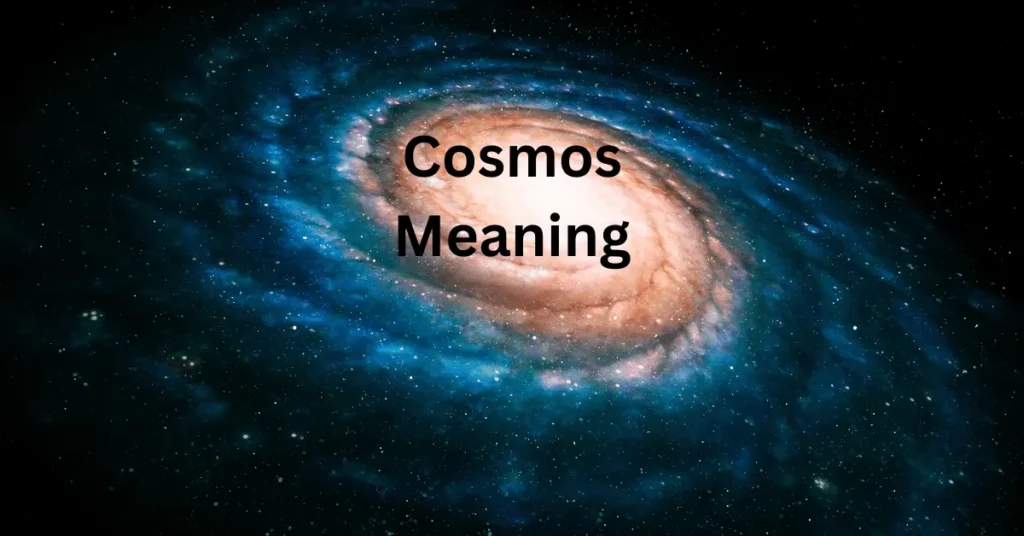 Cosmos Meaning