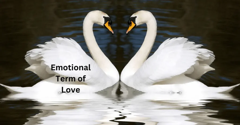 Emotional Term of Love