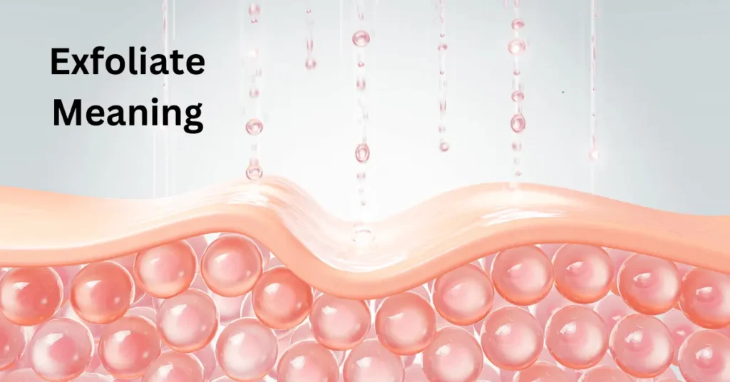 Exfoliate Meaning