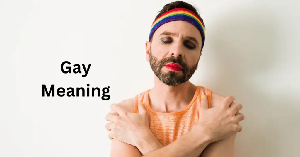 Gay Meaning