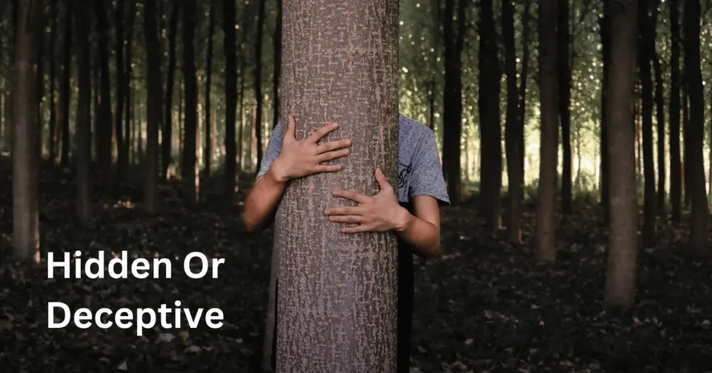 Hidden Or Deceptive