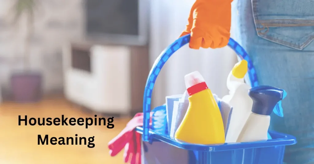 Housekeeping Meaning
