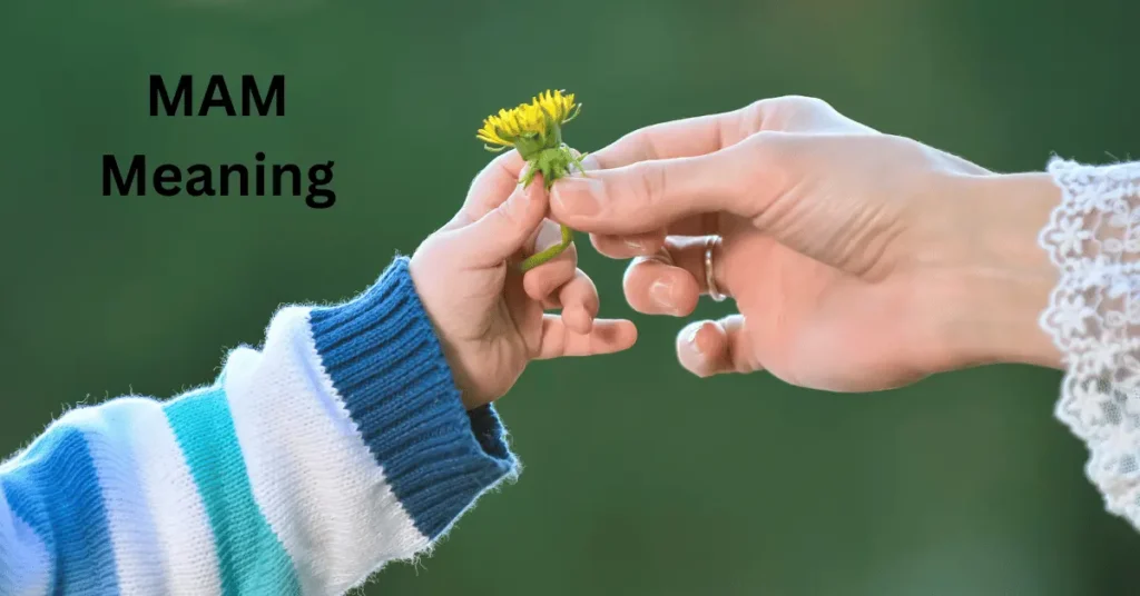 MAM Meaning