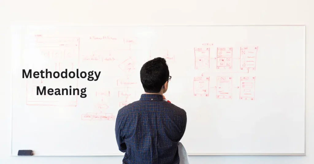 Methodology Meaning