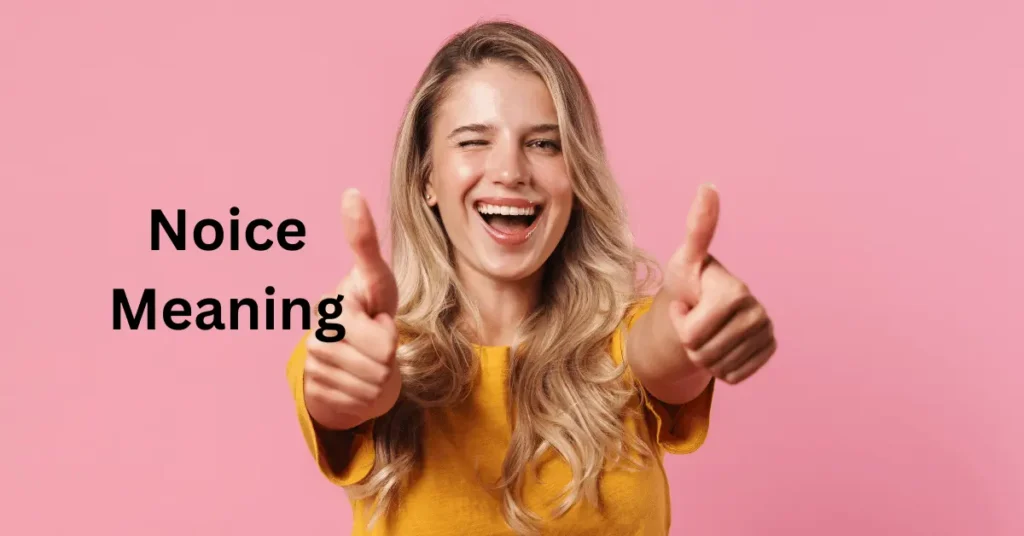 Noice Meaning