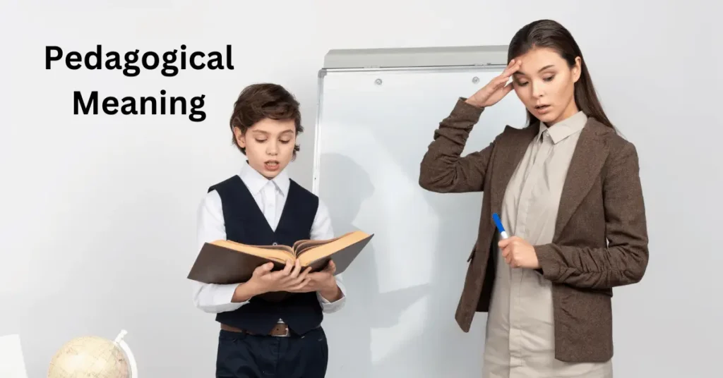 Pedagogical Meaning