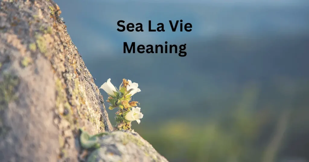 Sea La Vie Meaning