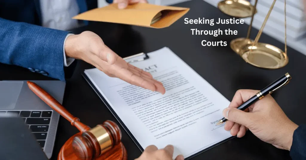Seeking Justice Through the Courts