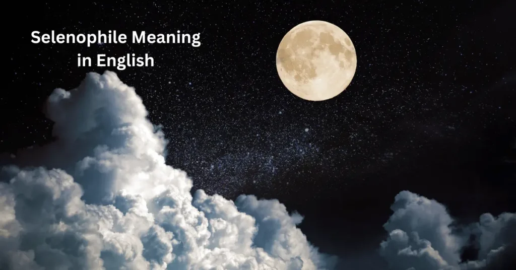 Selenophile Meaning in English