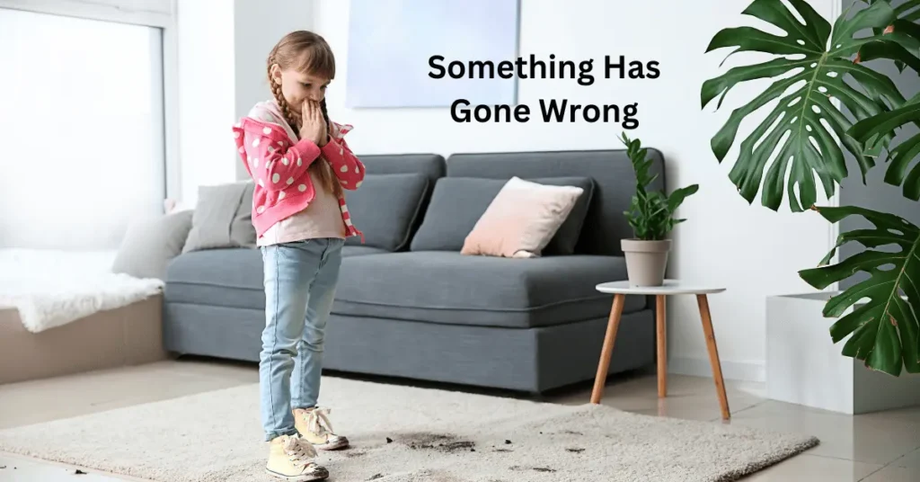Something Has Gone Wrong