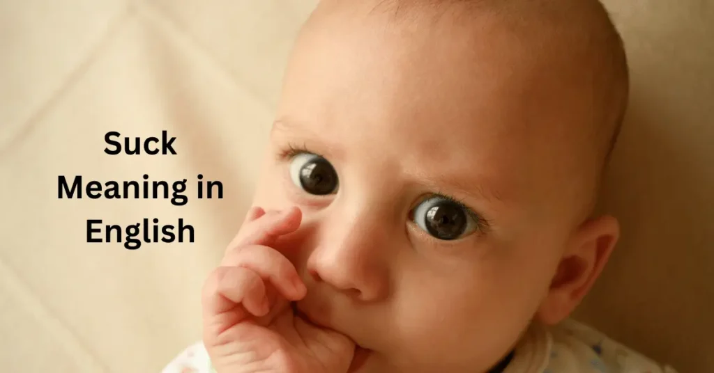 Suck Meaning in English