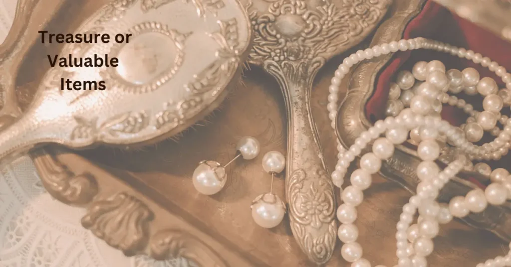 Treasure or Valuable Items