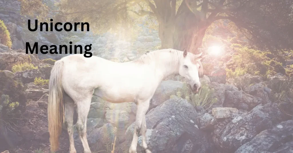 Unicorn Meaning
